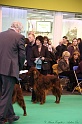 Crufts2011 688